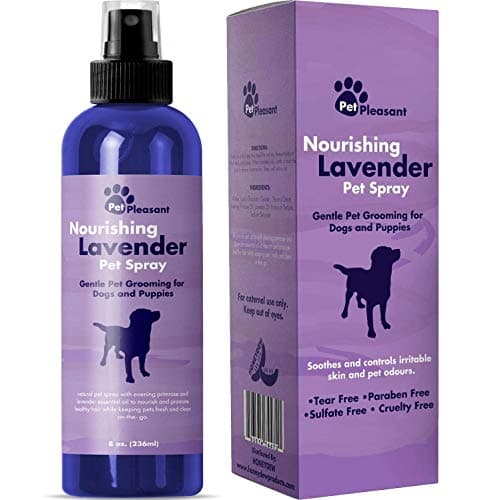 Luxe Lavender-Primrose Pet Spray: Cruelty-Free Freshness