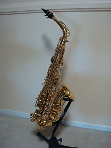 Sax Master Set: All Levels | Stylish Design | Complete Package