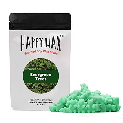 Evergreen Elegance Gift Set: 200-Hr Christmas Wax Melts - USA Made